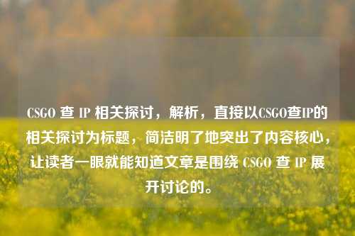 CSGO 查 IP 相关探讨，解析，直接以CSGO查IP的相关探讨为标题，简洁明了地突出了内容核心，让读者一眼就能知道文章是围绕 CSGO 查 IP 展开讨论的。