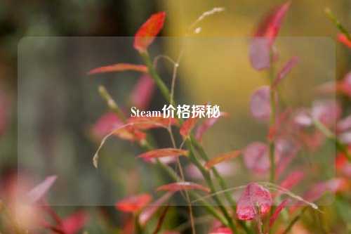 Steam价格探秘