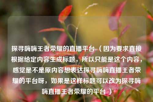 探寻嗨嗨王者荣耀的直播平台 （因为要求直接根据给定内容生成标题，所以只能是这个内容，感觉是不是原内容想表达探寻嗨嗨直播王者荣耀的平台呀，如果是这样标题可以改为探寻嗨嗨直播王者荣耀的平台 ）