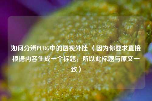 如何分辨PUBG中的透视外挂 （因为你要求直接根据内容生成一个标题，所以此标题与原文一致）