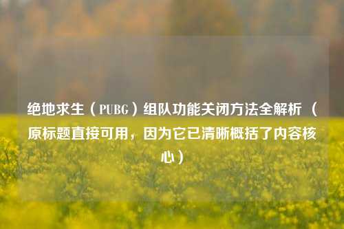 绝地求生（PUBG）组队功能关闭方法全解析 （原标题直接可用，因为它已清晰概括了内容核心）