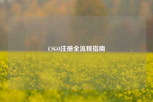 CSGO注册全流程指南