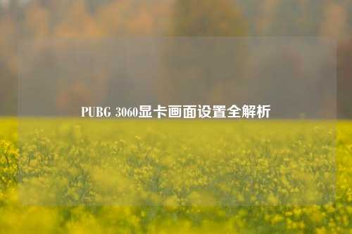 PUBG 3060显卡画面设置全解析