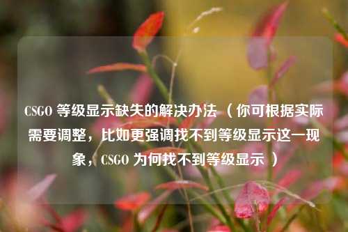 CSGO 等级显示缺失的解决办法 (你可根据实际需要调整,比如更强调找不到等级显示这一现象,CSGO 为何找不到等级显示 )
