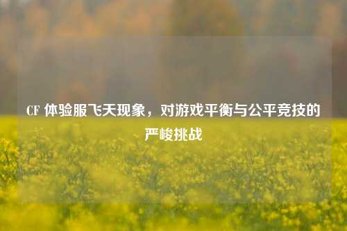 CF 体验服飞天现象,对游戏平衡与公平竞技的严峻挑战