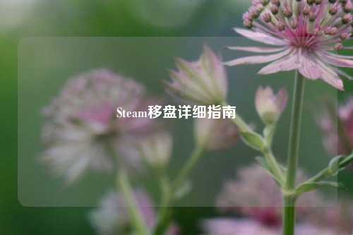 Steam移盘详细指南