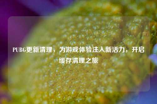 PUBG更新清理，为游戏体验注入新活力，开启缓存清理之旅