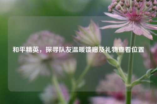 和平精英，探寻队友温暖馈赠及礼物查看位置