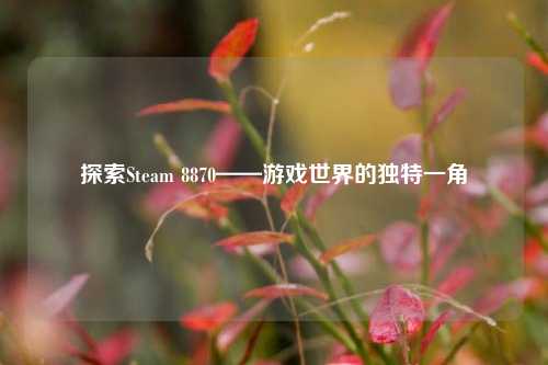 探索Steam 8870——游戏世界的独特一角