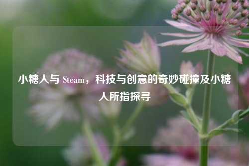 小糖人与 Steam，科技与创意的奇妙碰撞及小糖人所指探寻