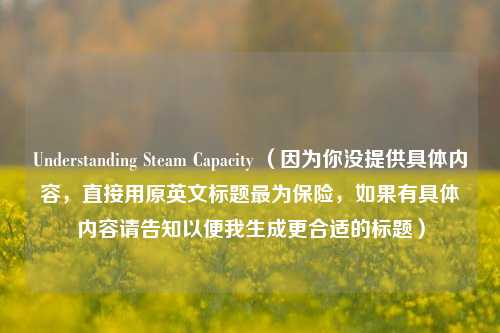 Understanding Steam Capacity (因为你没提供具体内容,直接用原英文标题最为保险,如果有具体内容请告知以便我生成更合适的标题)