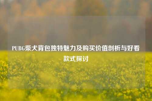 PUBG柴犬背包独特魅力及购买价值剖析与好看款式探讨