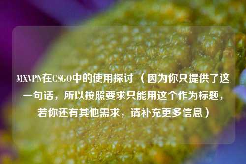 MXVPN在CSGO中的使用探讨 （因为你只提供了这一句话，所以按照要求只能用这个作为标题，若你还有其他需求，请补充更多信息）