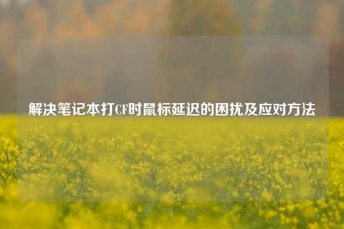 解决笔记本打CF时鼠标延迟的困扰及应对 ***