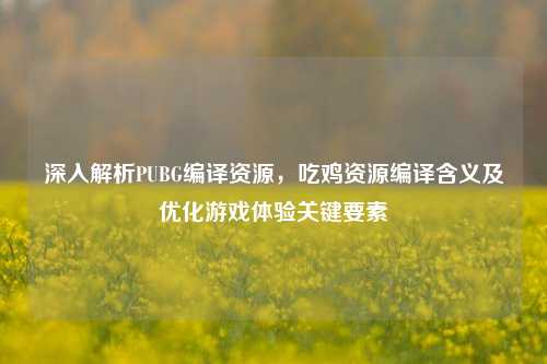 深入解析PUBG编译资源,吃鸡资源编译含义及优化游戏体验关键要素