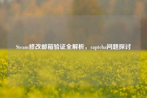 Steam修改邮箱验证全解析,captcha问题探讨