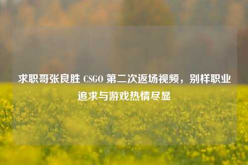 求职哥张良胜 CSGO 第二次返场视频,别样职业追求与游戏热情尽显