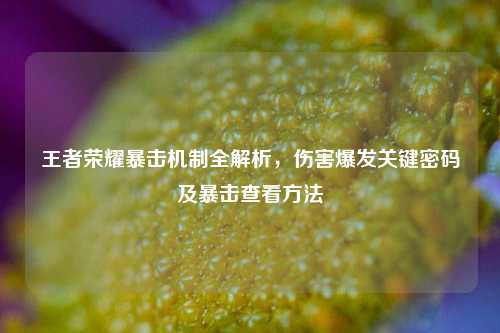 王者荣耀暴击机制全解析，伤害爆发关键密码及暴击查看 *** 