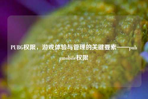 PUBG权限，游戏体验与管理的关键要素——pubgmobile权限