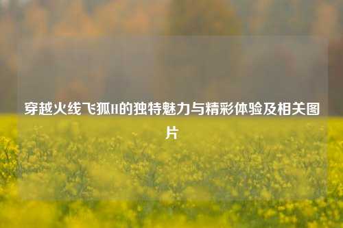穿越火线飞狐H的独特魅力与精彩体验及相关图片
