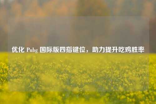优化 Pubg 国际版四指键位,助力提升吃鸡胜率