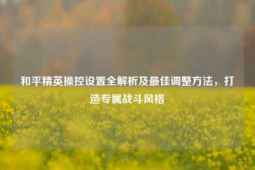 和平精英操控设置全解析及更佳调整 *** ,打造专属战斗风格