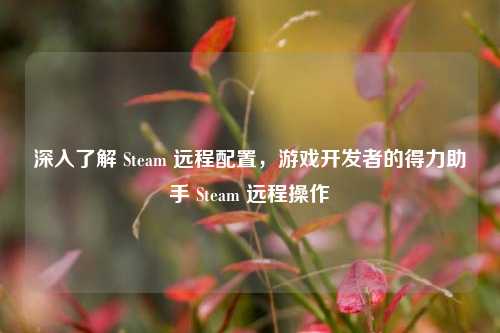 深入了解 Steam 远程配置，游戏开发者的得力助手 Steam 远程操作