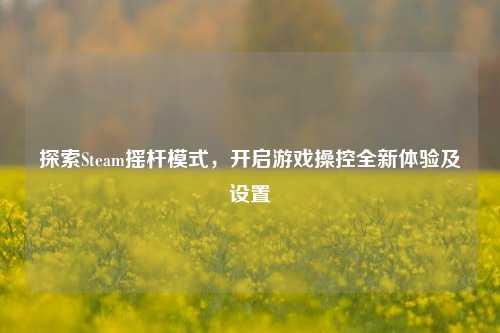 探索Steam摇杆模式，开启游戏操控全新体验及设置