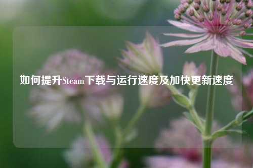 如何提升Steam下载与运行速度及加快更新速度