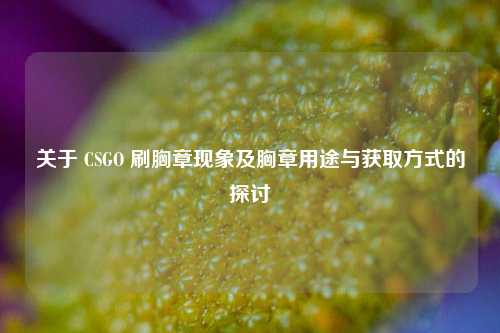关于 CSGO 刷胸章现象及胸章用途与获取方式的探讨