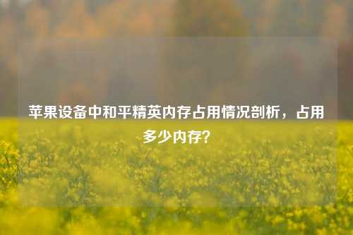 苹果设备中和平精英内存占用情况剖析，占用多少内存？