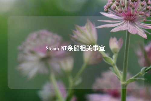 Steam NT余额相关事宜