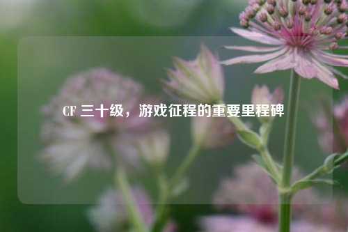 CF 三十级，游戏征程的重要里程碑