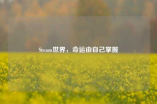 Steam世界，命运由自己掌握
