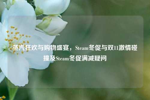 蒸汽狂欢与购物盛宴，Steam冬促与双11***碰撞及Steam冬促满减疑问