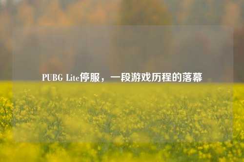 PUBG Lite停服，一段游戏历程的落幕