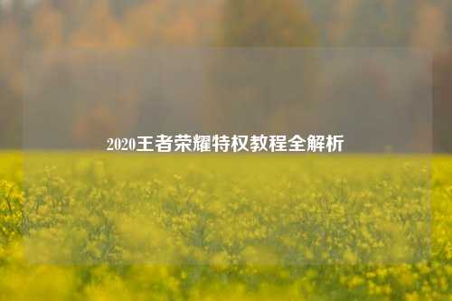 2020王者荣耀特权教程全解析