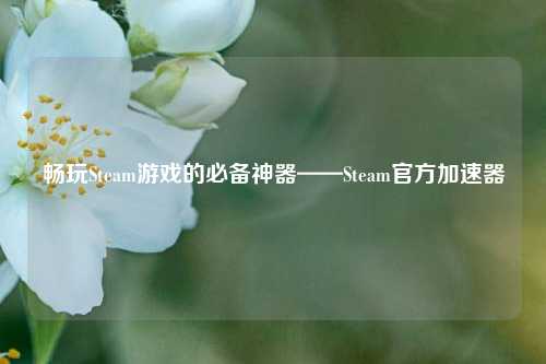 畅玩Steam游戏的必备神器——Steam官方加速器