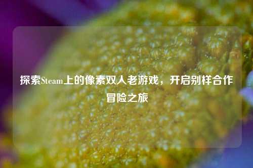 探索Steam上的像素双人老游戏,开启别样合作冒险之旅