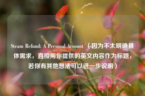 Steam Refund: A Personal Account (因为不太明确具体需求,直接用你提供的英文内容作为标题,若你有其他想法可以进一步说明)
