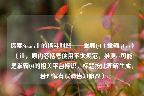探索Steam上的格斗利器——拳霸Q4(拳霸q4 ns) (注,原内容括号使用不太规范,推测ns可能是拳霸Q4的相关平台标识,标题按此理解生成,若理解有误请告知修改)