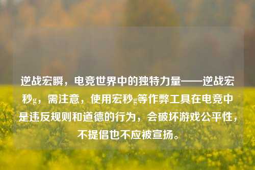 逆战宏瞬，电竞世界中的独特力量——逆战宏秒g，需注意，使用宏秒g等作弊工具在电竞中是违反规则和道德的行为，会破坏游戏公平性，不提倡也不应被宣扬。