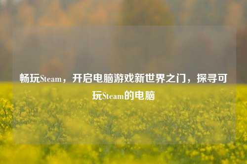 畅玩Steam,开启电脑游戏新世界之门,探寻可玩Steam的电脑