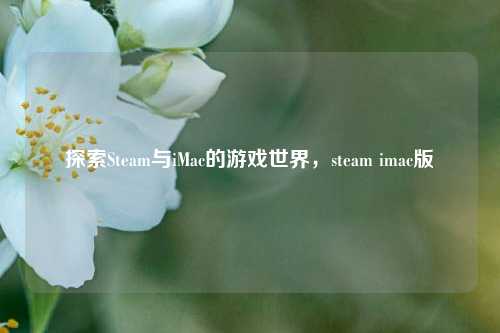 探索Steam与iMac的游戏世界,steam imac版