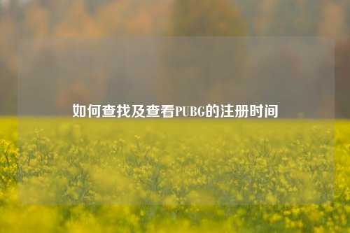 如何查找及查看PUBG的注册时间