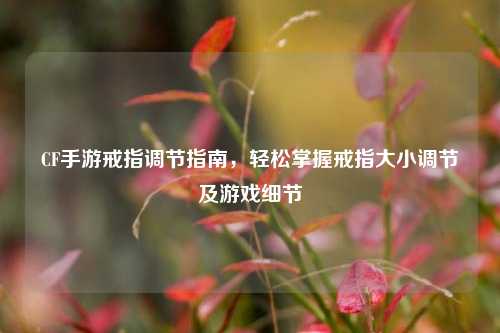 CF手游戒指调节指南,轻松掌握戒指大小调节及游戏细节