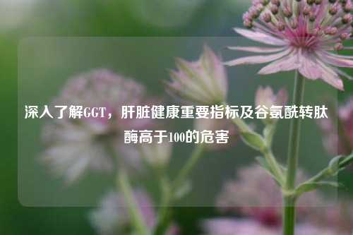 深入了解GGT,肝脏健康重要指标及谷氨酰转肽酶高于100的危害