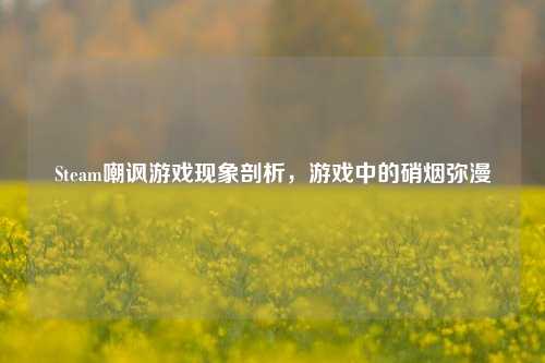 Steam嘲讽游戏现象剖析,游戏中的硝烟弥漫