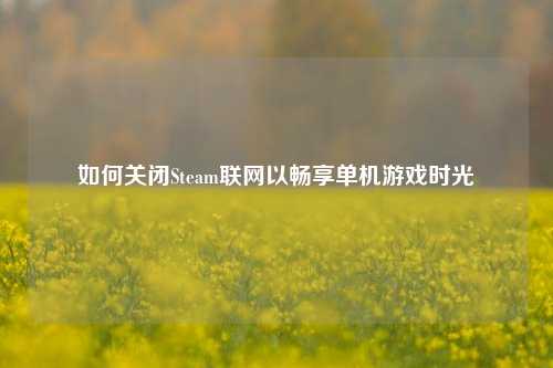 如何关闭Steam联网以畅享单机游戏时光