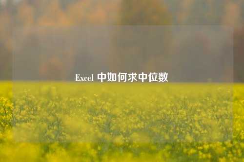 Excel 中如何求中位数